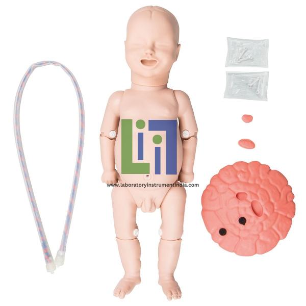 Fetal baby,w/umbilical cord & placenta